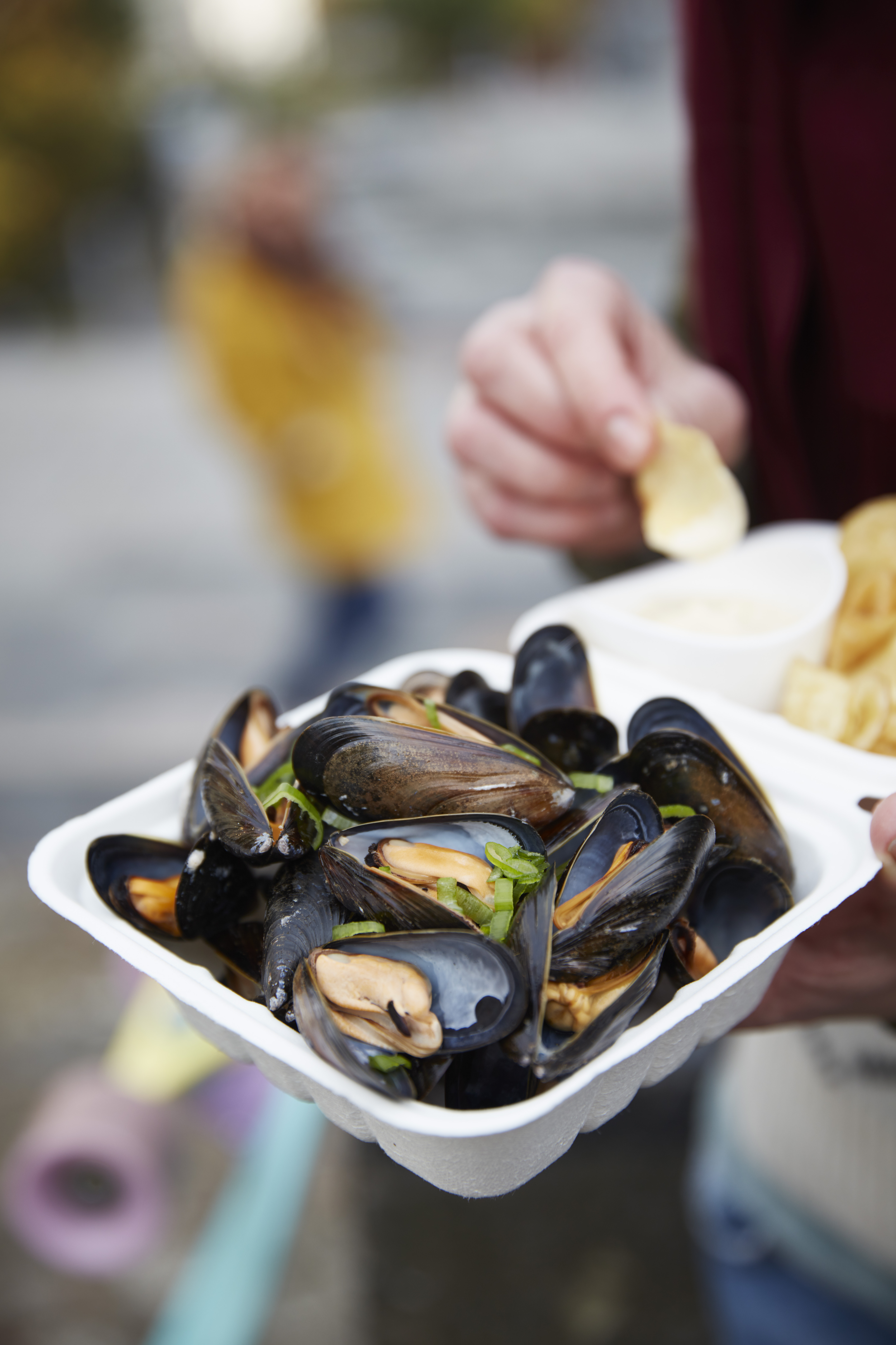 Sinisimpukoita oluessa