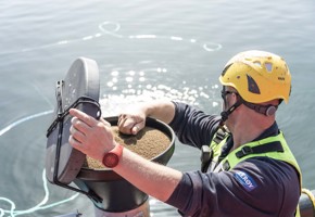 Ansatt ved vannet fôrer fisken