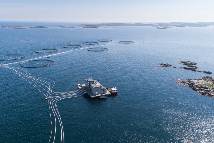 Fish cages in the sea