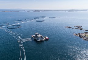 Havbrukslokalitet