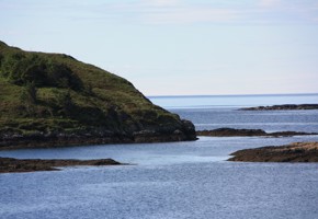 Vårryddedagen