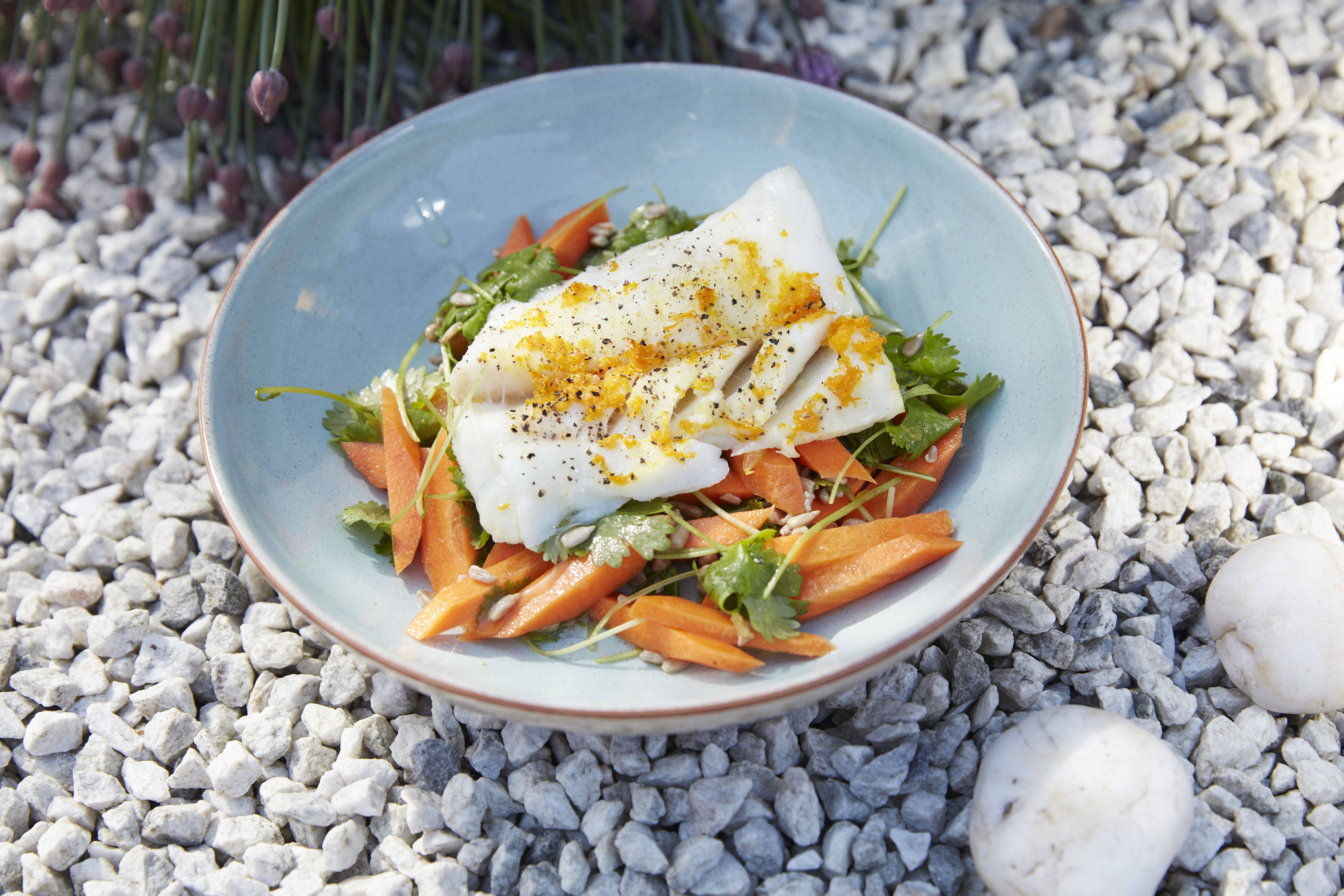 Grillad torsk med apelsin och koriander